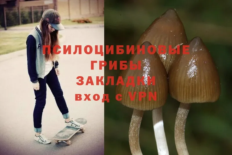 Галлюциногенные грибы MAGIC MUSHROOMS  где найти   Аркадак 